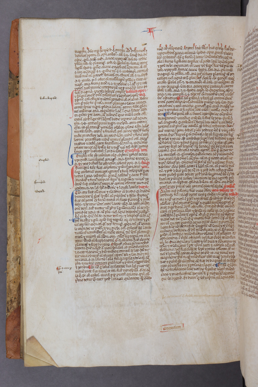 Folio 103 verso